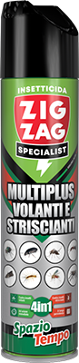 MULTIPLUS VOLANTI/STRISCIANTI SpazioTempo