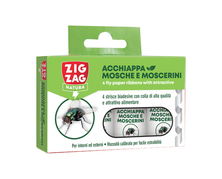 ACCHIAPPA MOSCHE ECOLOGICO