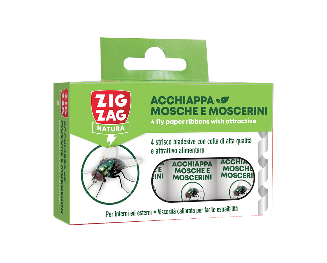 ACCHIAPPA MOSCHE ECOLOGICO