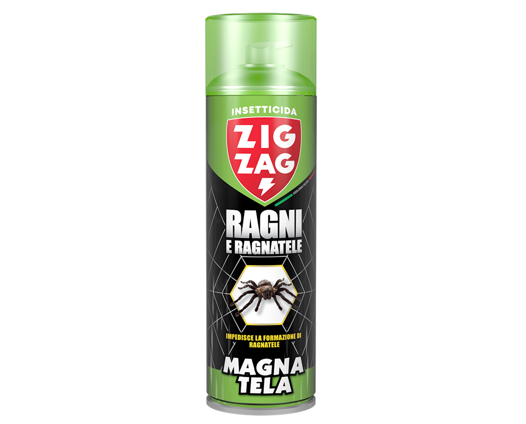 RAGNI E RAGNATELE - MAGNATELA