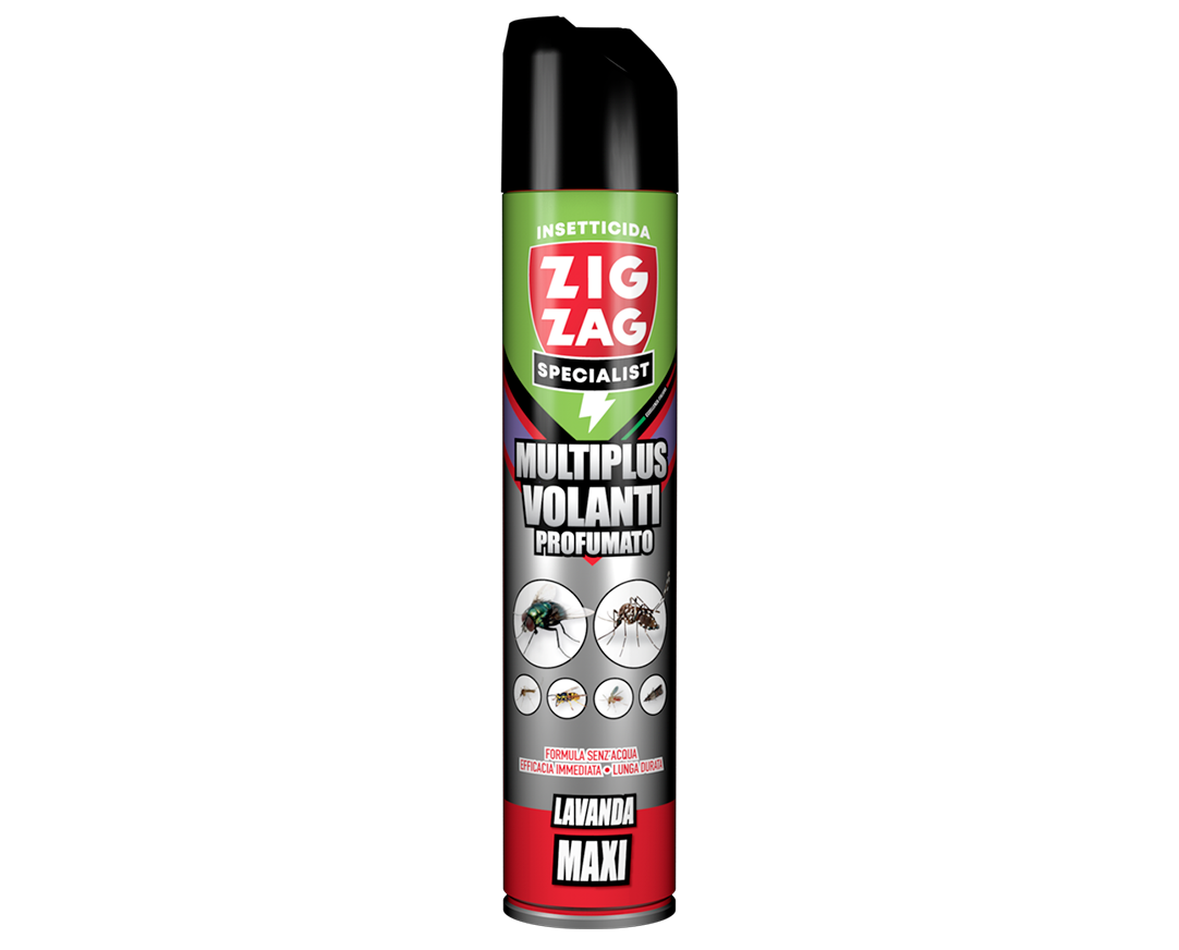 MULTIPLUS VOLANTI PROFUMATO