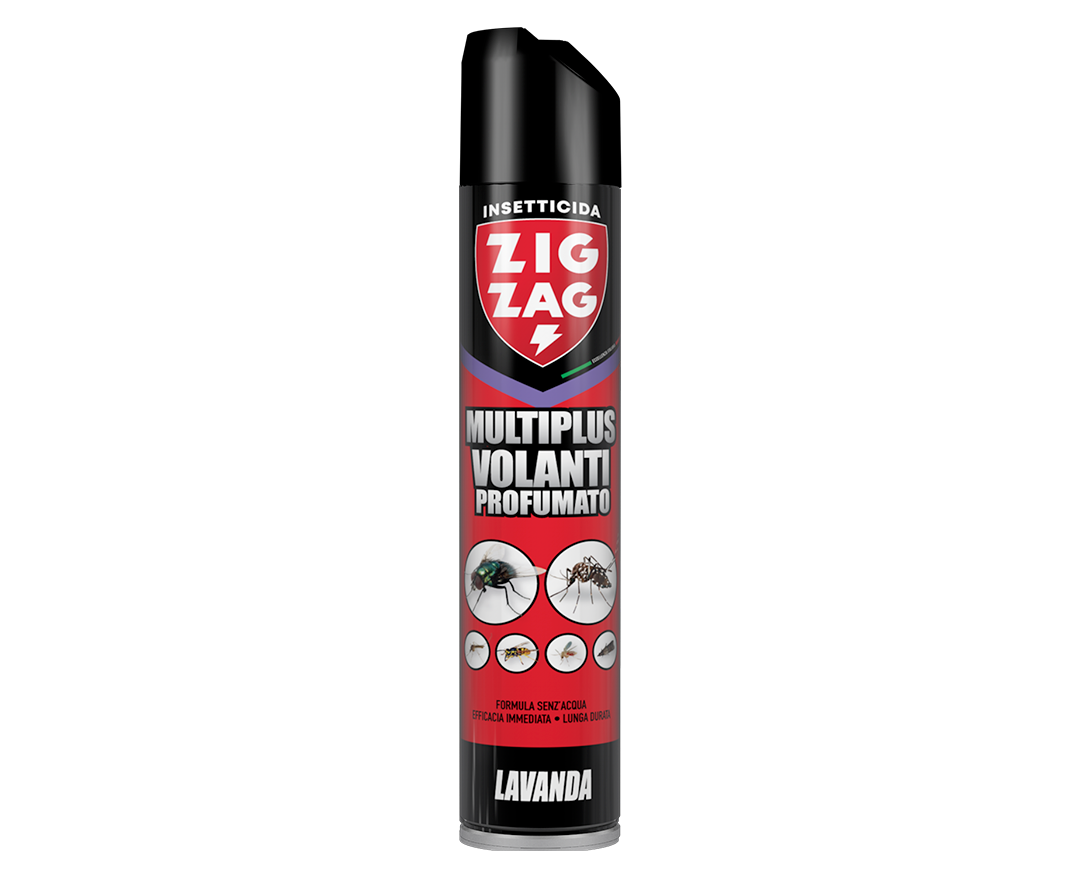 MULTIPLUS VOLANTI PROFUMATO