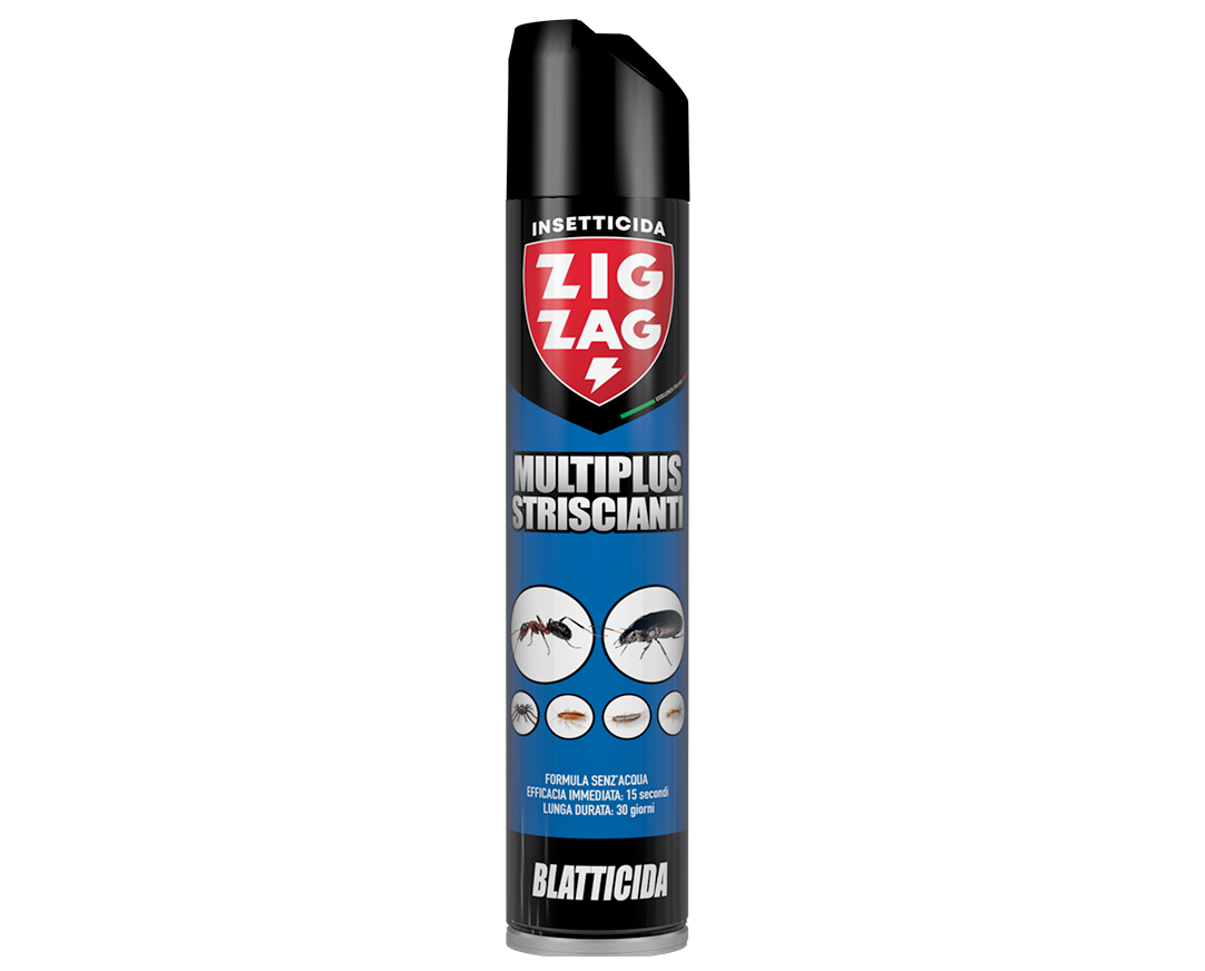 MULTIPLUS STRISCIANTI Blatticida