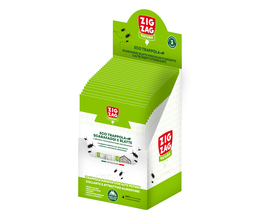 ECO TRAPPOLA SCARAFAGGI