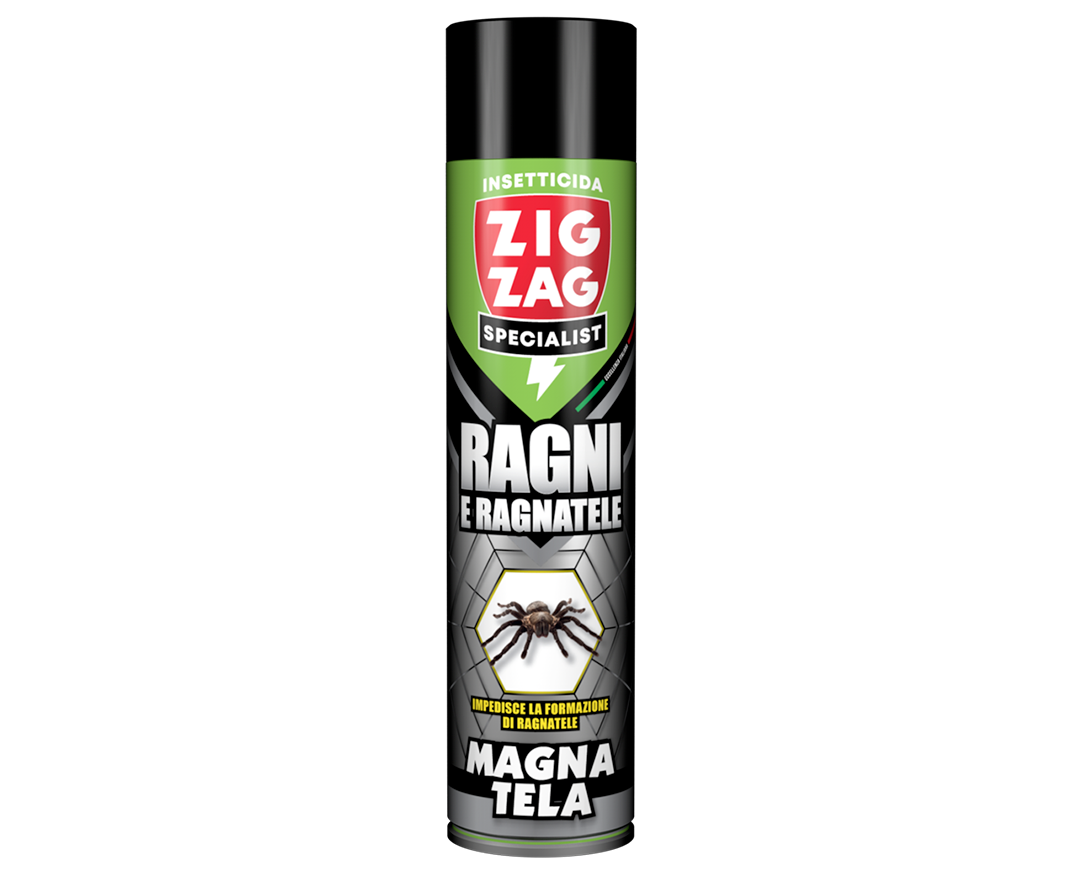 RAGNI E RAGNATELE - MAGNATELA