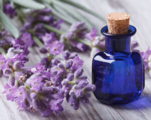 Lavanda