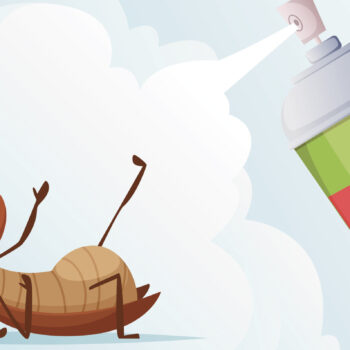 banner-formica-1