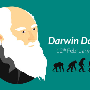 darwin-lungo