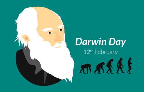 darwin-lungo darwin-lungo