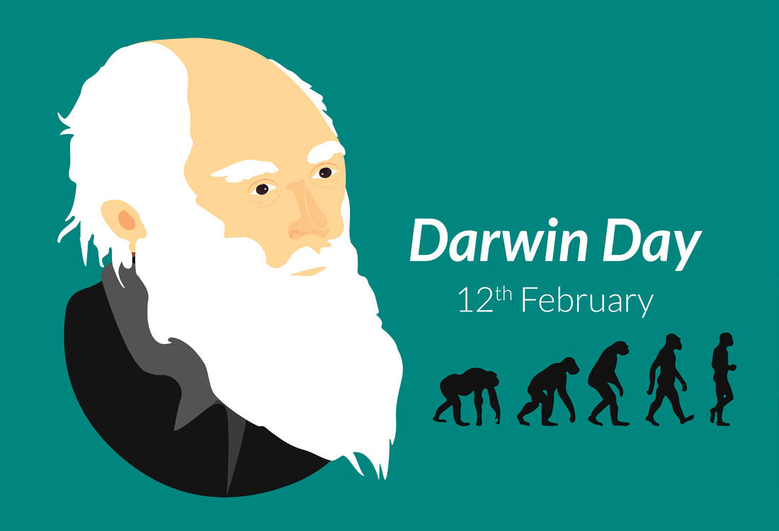 darwin-medio