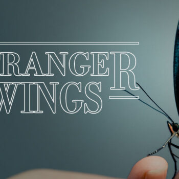 strange-wings-3